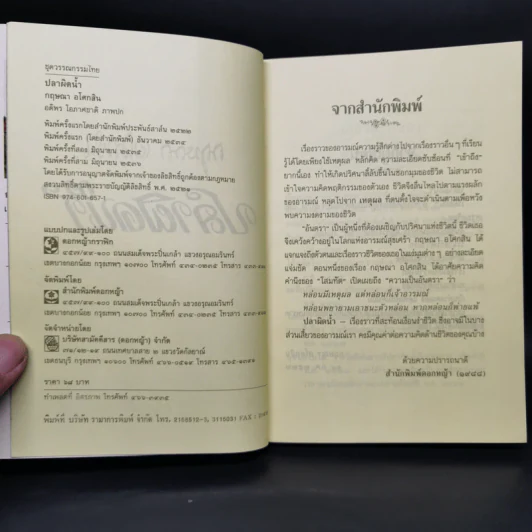 ปลาผิดน้ำ - กฤษณา อโศกสิน รูปที่ 8