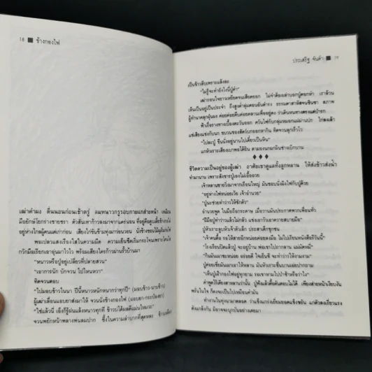 ฝุ่นดิน - ประเสริฐ จันดำ รูปที่ 11