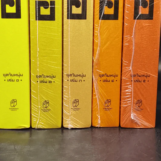 สามเกลอ ชุดวัยหนุ่ม เล่ม 1-5 - ป.อินทรปาลิต รูปที่ 8