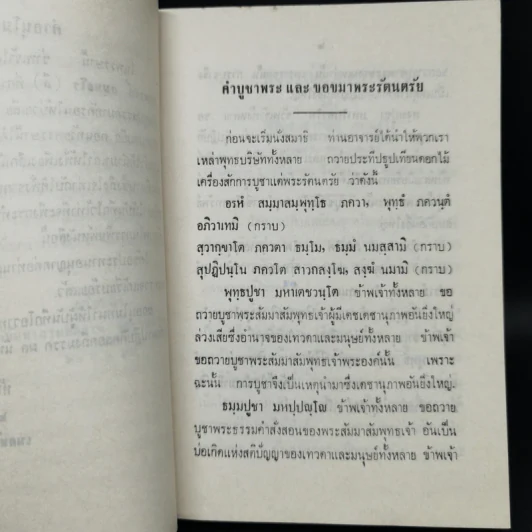 แนวทางปฏิบัติ วิปัสสนา-กัมมัฏฐาน เรียบเรียงจากโอวาท 4 พรรษา - พระสุทธิธรรมรังสี รูปที่ 9