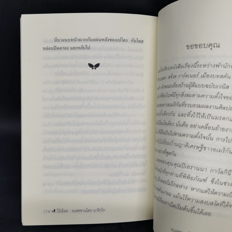 ไร้เลือด - อเลซซานโดร บาริกโก, งามพรรณ เวชชาชีวะ รูปที่ 10