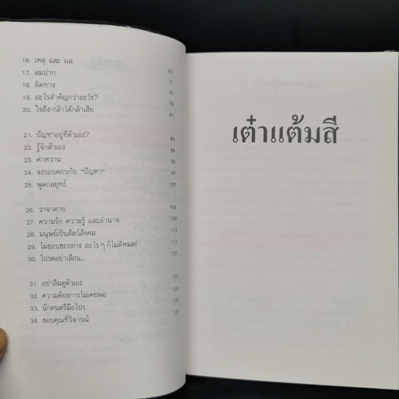 เต๋าแต้มสี - ละเอียด ศิลาน้อย รูปที่ 10