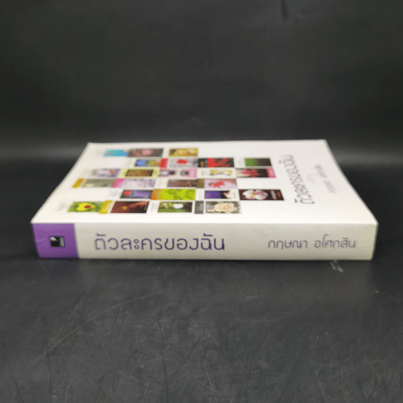 ตัวละครของฉัน - กฤษณา อโศกสิน รูปที่ 3