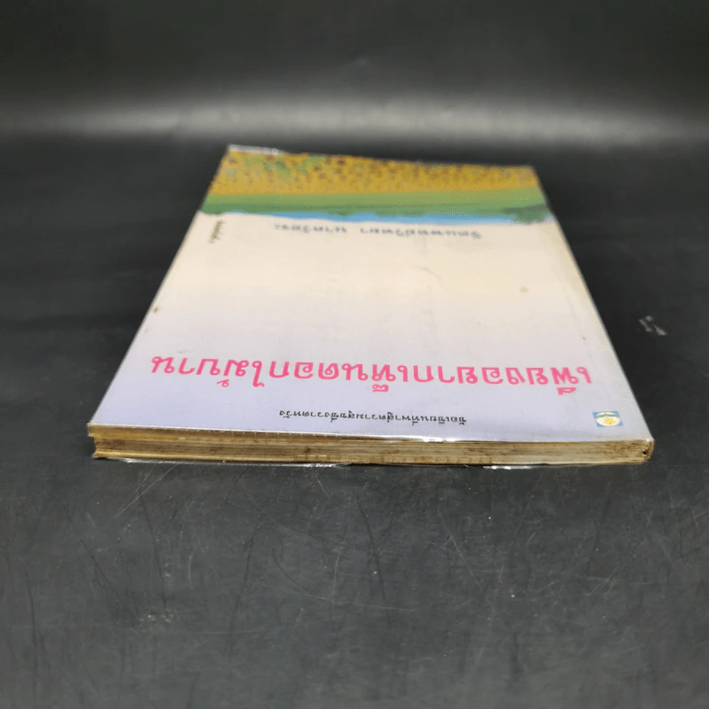 เพียงอยากเห็นดอกไม้บาน - จิตแพทย์วิทยา นาควัชระ รูปที่ 6