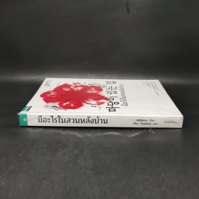 มีอะไรในสวนหลังบ้าน - คิมจินยอง รูปที่ 3