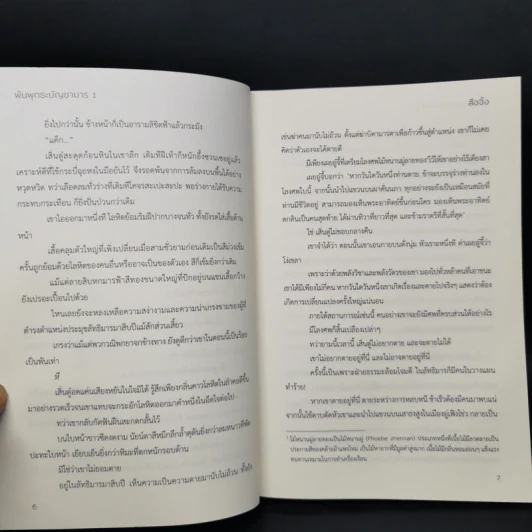 นิยายวาย พันพุทธะบัญชามาร 3 เล่มจบ - สือจิ้ง รูปที่ 9