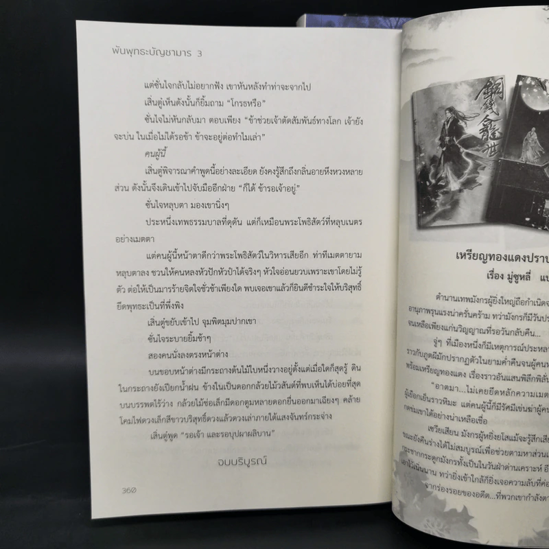 นิยายวาย พันพุทธะบัญชามาร 3 เล่มจบ - สือจิ้ง รูปที่ 10