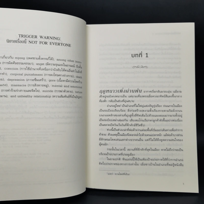 นิยายวาย เล่ห์รักประมุขพรรคมาร 3 เล่มจบ - หนานเฟิงเกอ รูปที่ 12
