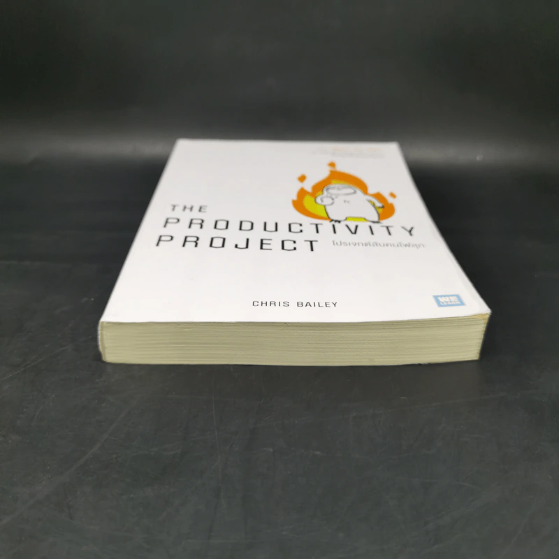 โปรเจกต์ลับคนไฟลุก : The Productivty Project - Chris Bailey รูปที่ 4