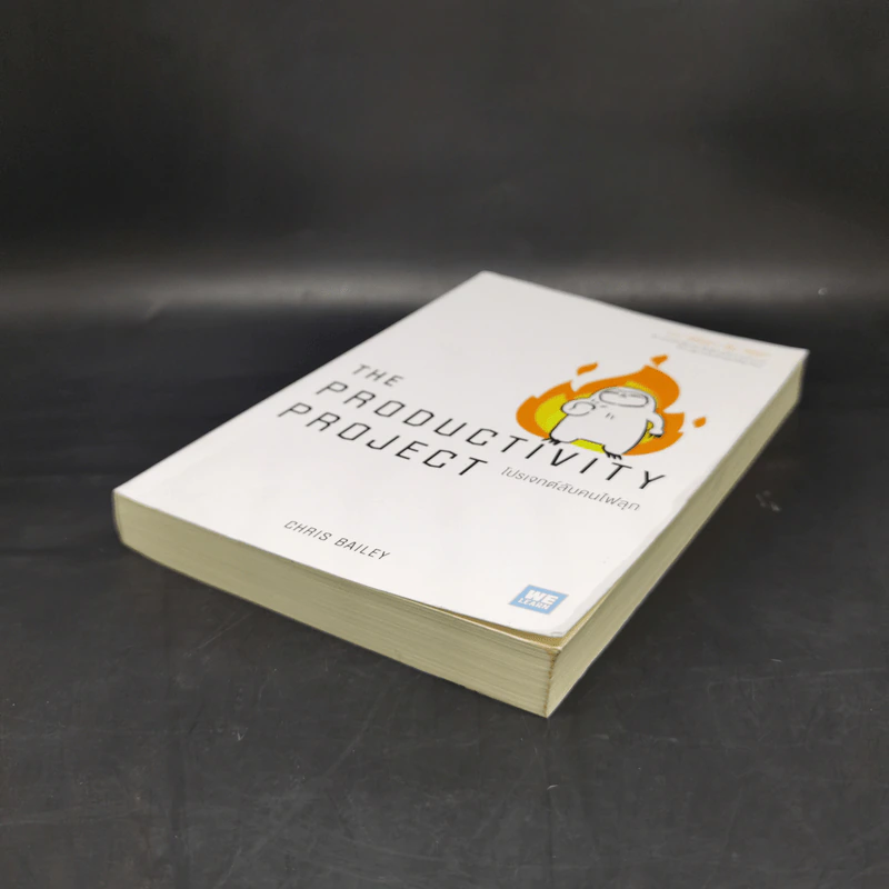 โปรเจกต์ลับคนไฟลุก : The Productivty Project - Chris Bailey รูปที่ 7