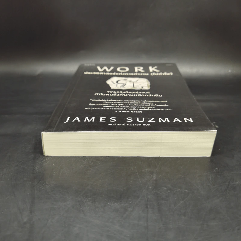 WORK ประวัติศาสตร์แห่งการทำงาน (ไปทำไม) - James Suzman รูปที่ 4