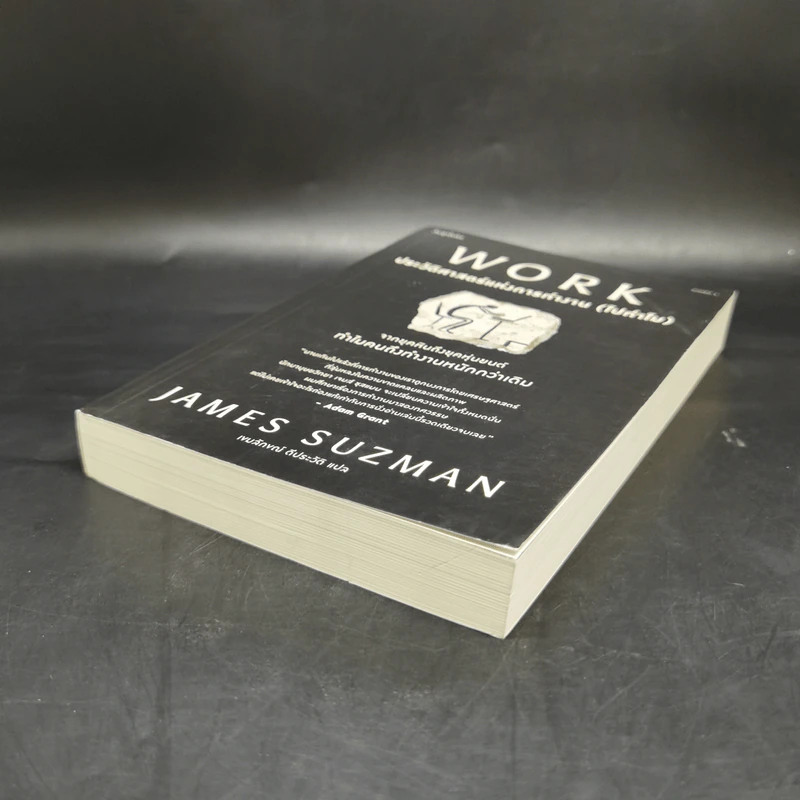 WORK ประวัติศาสตร์แห่งการทำงาน (ไปทำไม) - James Suzman รูปที่ 7