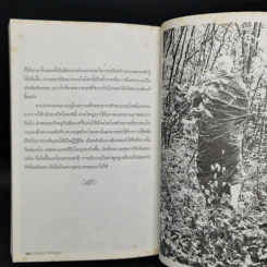 Mong in the Mountain ธรรมะจากพระภูเขา - พระอาจารย์สุมโน ภิกขุ รูปที่ 11