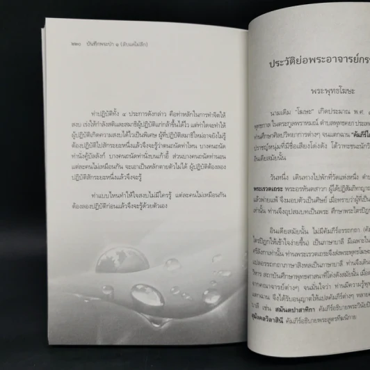 บันทึกพระป่า ๑ ลับแต่ไม่ลึก - ส.ชิโนรส รูปที่ 12
