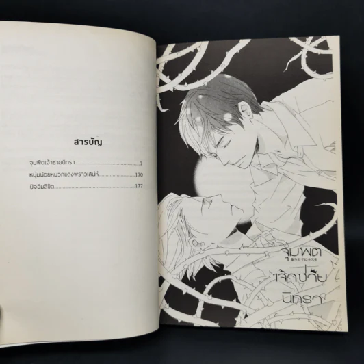 นิยายวาย จุมพิตเจ้าชายนิทรา - Kei Tsukimura รูปที่ 10