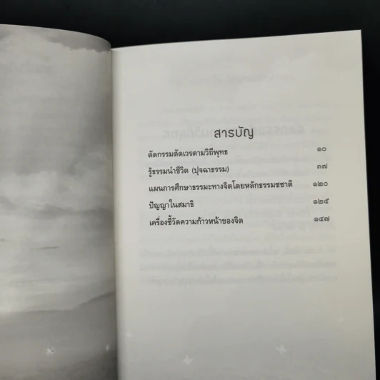 สดใส - พระราชสังวรญาณ (พุธ ฐานิโย) รูปที่ 9