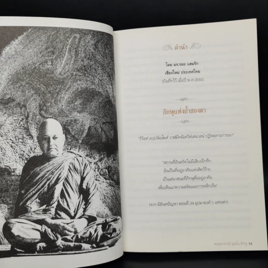 Mong in the Mountain ธรรมะจากพระภูเขา - พระอาจารย์สุมโน ภิกขุ รูปที่ 9