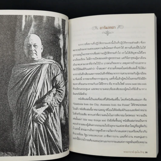 Mong in the Mountain ธรรมะจากพระภูเขา - พระอาจารย์สุมโน ภิกขุ รูปที่ 10