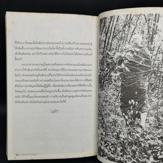 Mong in the Mountain ธรรมะจากพระภูเขา - พระอาจารย์สุมโน ภิกขุ รูปที่ 11