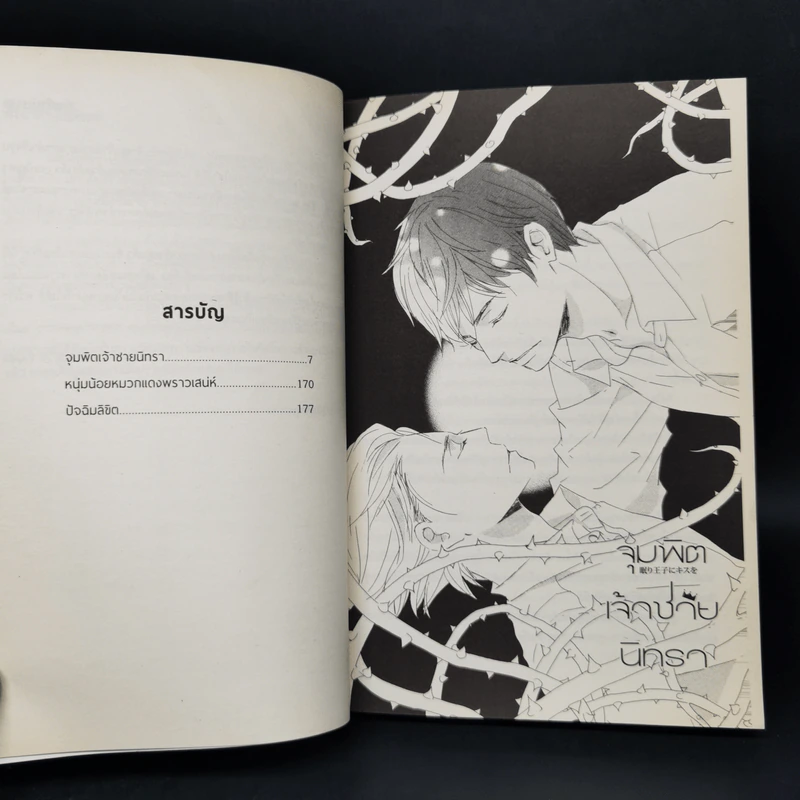 นิยายวาย จุมพิตเจ้าชายนิทรา - Kei Tsukimura รูปที่ 10