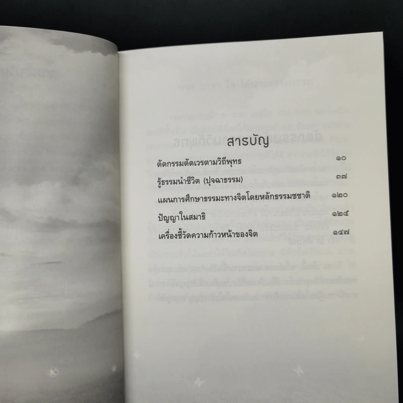 สดใส - พระราชสังวรญาณ (พุธ ฐานิโย) รูปที่ 9