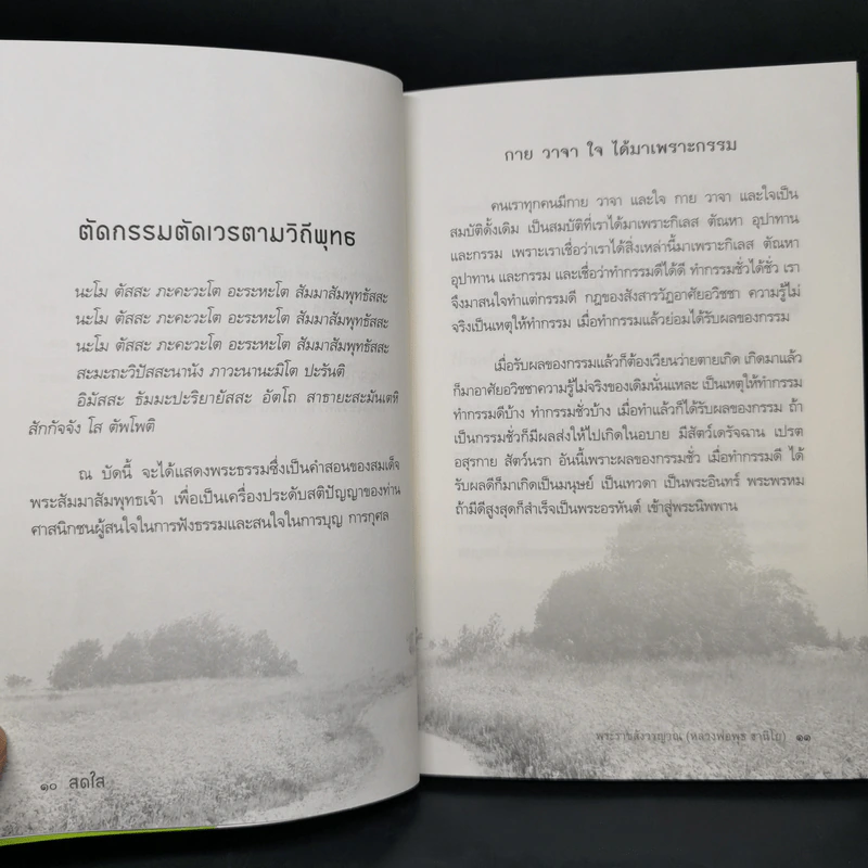 สดใส - พระราชสังวรญาณ (พุธ ฐานิโย) รูปที่ 10