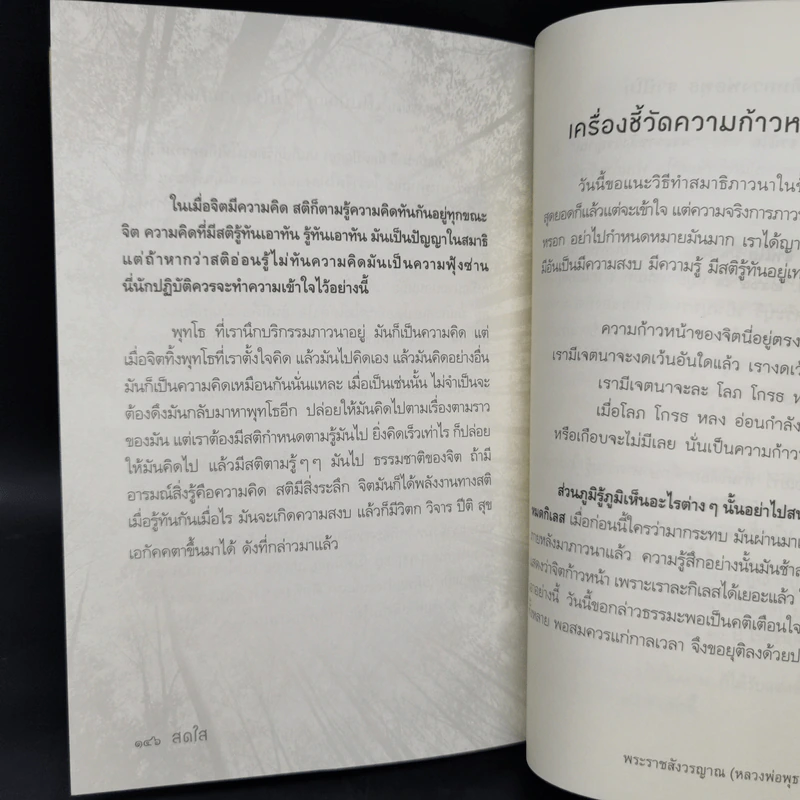 สดใส - พระราชสังวรญาณ (พุธ ฐานิโย) รูปที่ 11
