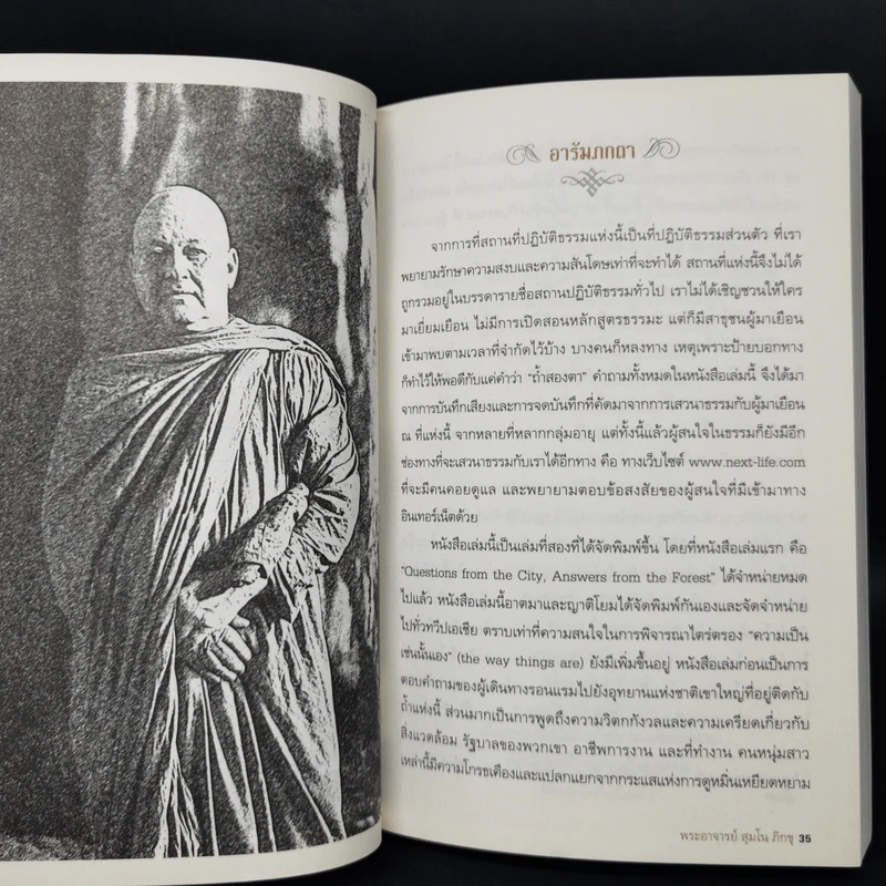 Mong in the Mountain ธรรมะจากพระภูเขา - พระอาจารย์สุมโน ภิกขุ รูปที่ 10