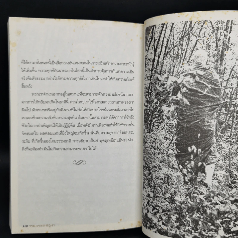 Mong in the Mountain ธรรมะจากพระภูเขา - พระอาจารย์สุมโน ภิกขุ รูปที่ 11
