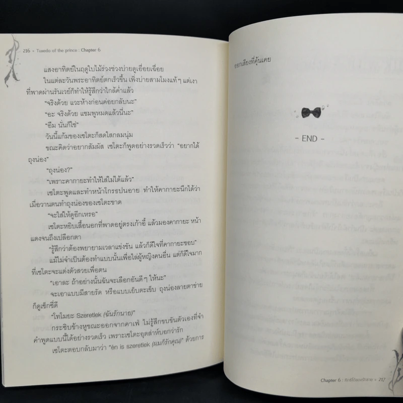 นิยายวาย รองเท้าส้นสูงของเจ้าหญิงเงือก รูปที่ 9
