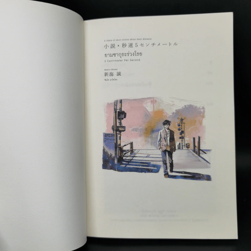 ยามซากุระร่วงโรย - Makoto Shinkai (มาโคโตะ ชินไค) รูปที่ 8