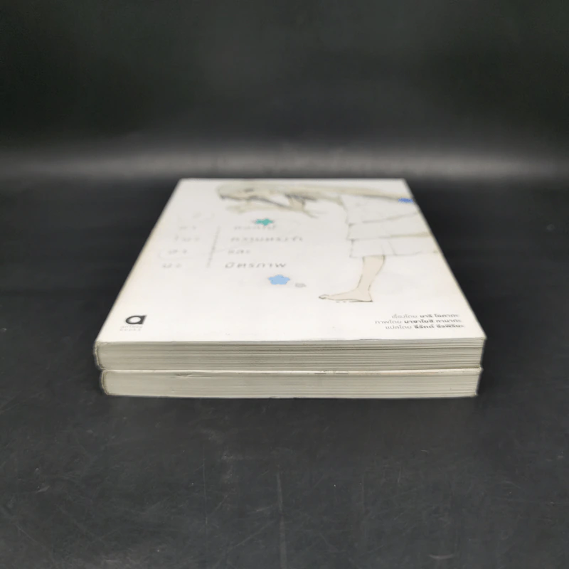 Boxset อาโนะฮานะ ดอกไม้ความทรงจำและมิตรภาพ Complete Set 2 เล่มจบ รูปที่ 6