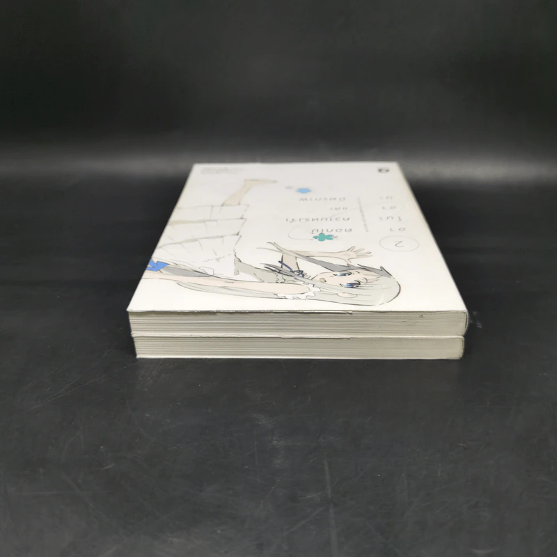 Boxset อาโนะฮานะ ดอกไม้ความทรงจำและมิตรภาพ Complete Set 2 เล่มจบ รูปที่ 8