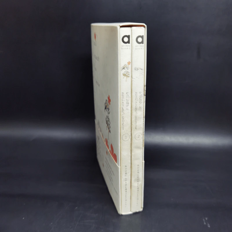 Boxset อาโนะฮานะ ดอกไม้ความทรงจำและมิตรภาพ Complete Set 2 เล่มจบ รูปที่ 3