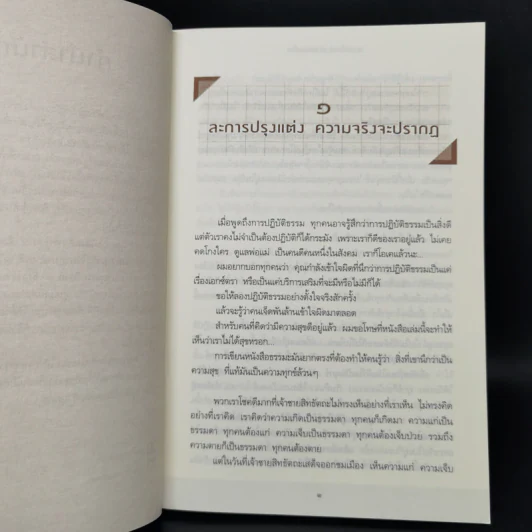 ทุบเปลือก ทำลายเมล็ด - ประเสริฐ อุทัยเฉลิม รูปที่ 10