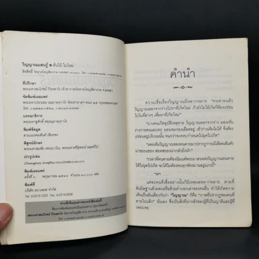 วิญญาณแสนรู้ - ต้นไม้ ใบใหม่ รูปที่ 8