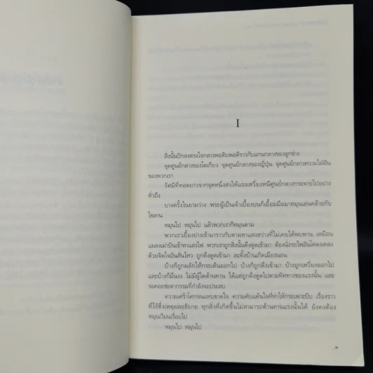 โตเกียวทาวเวอร์ - ลิลี่ แฟรงกี้ (Lily Franky) รูปที่ 8