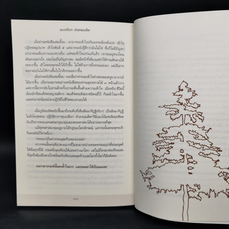 ทุบเปลือก ทำลายเมล็ด - ประเสริฐ อุทัยเฉลิม รูปที่ 11