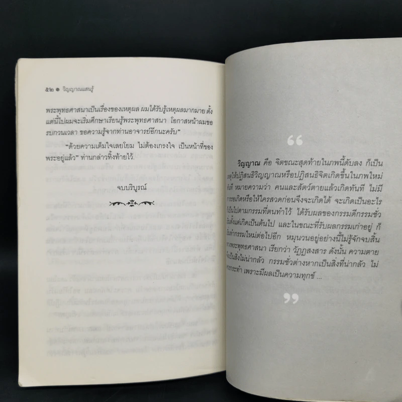 วิญญาณแสนรู้ - ต้นไม้ ใบใหม่ รูปที่ 11