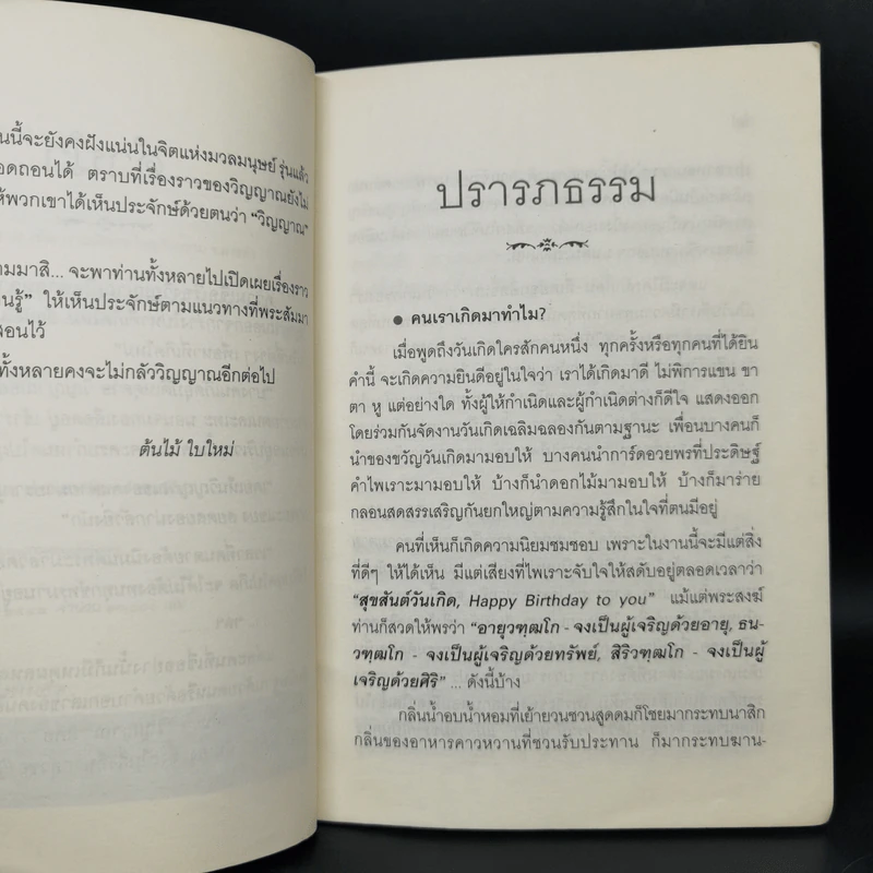 วิญญาณแสนรู้ - ต้นไม้ ใบใหม่ รูปที่ 9