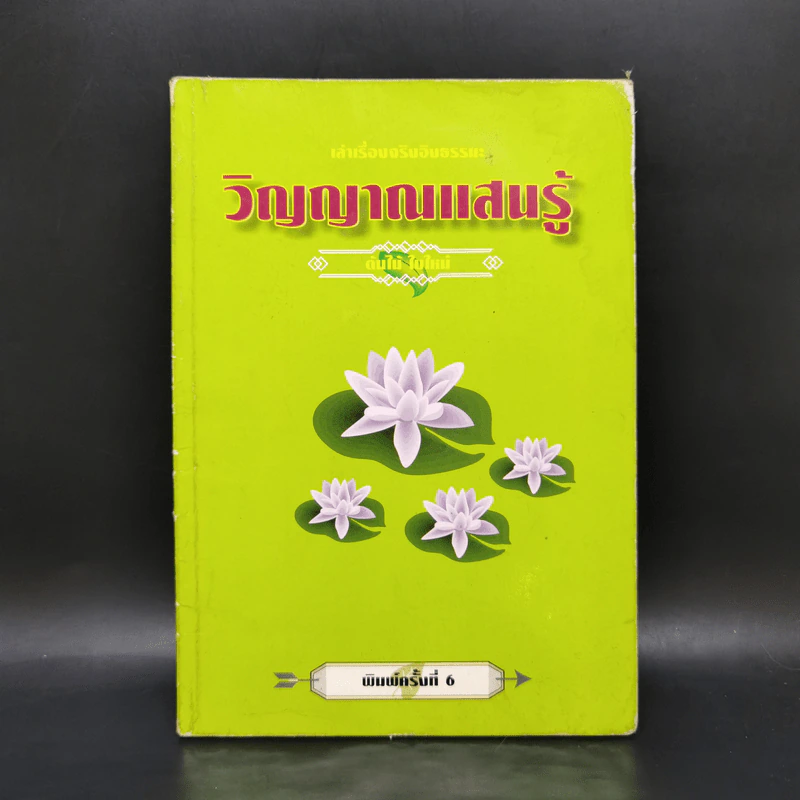 วิญญาณแสนรู้ - ต้นไม้ ใบใหม่ รูปที่ 1