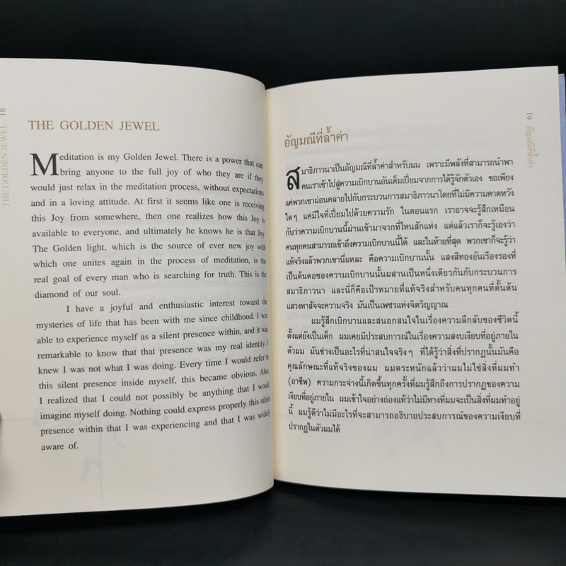 อัญมณีที่ล้ำค่า : The Golden Jewel - Vincent Sandee (Swami Ekabuddhyananda) รูปที่ 11