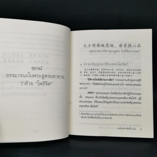 108 ธรรมวจนะในพระสูตรมหายานว่าด้วยโพธิจิต - พระวิศวภัทรเซี่ยเกี๊ยก รูปที่ 11
