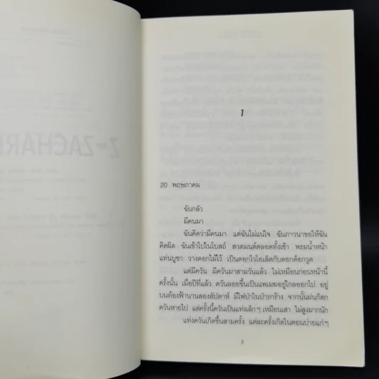 สูญมนุษย์วันสิ้นโลก (Z for Zachariah) - โรเบิร์ต ซี. โอ'ไบรอัน รูปที่ 9