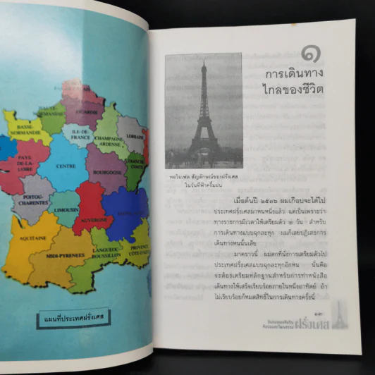 ฝรั่งเศส ถิ่นทองของศิลปิน ศิลปะและวัฒนธรรม - ถวัลย์ มาศจรัส รูปที่ 12