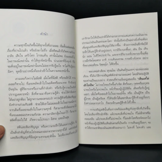 ทางลัดสู่ความพ้นทุกข์ - หลวงพ่อคำเขียน สุวัณโณ รูปที่ 9