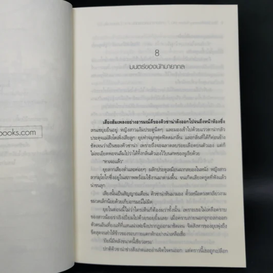 The Last Fantasy: Return 12 เล่มจบ - แสงจันทร์ รูปที่ 27