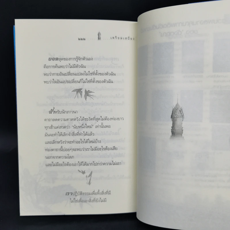 เตรียมเสบียงไว้เลี้ยงตัว 11 - ดังตฤณ รูปที่ 13