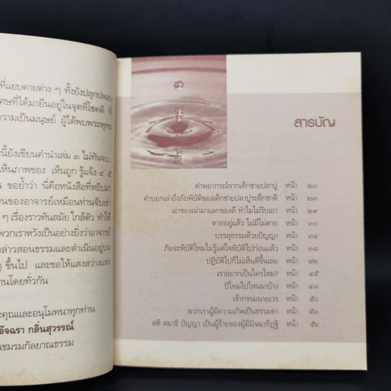 เห็นถูกรู้แจ้ง 3 - อ.ประเสริฐ อุทัยเฉลิม รูปที่ 10