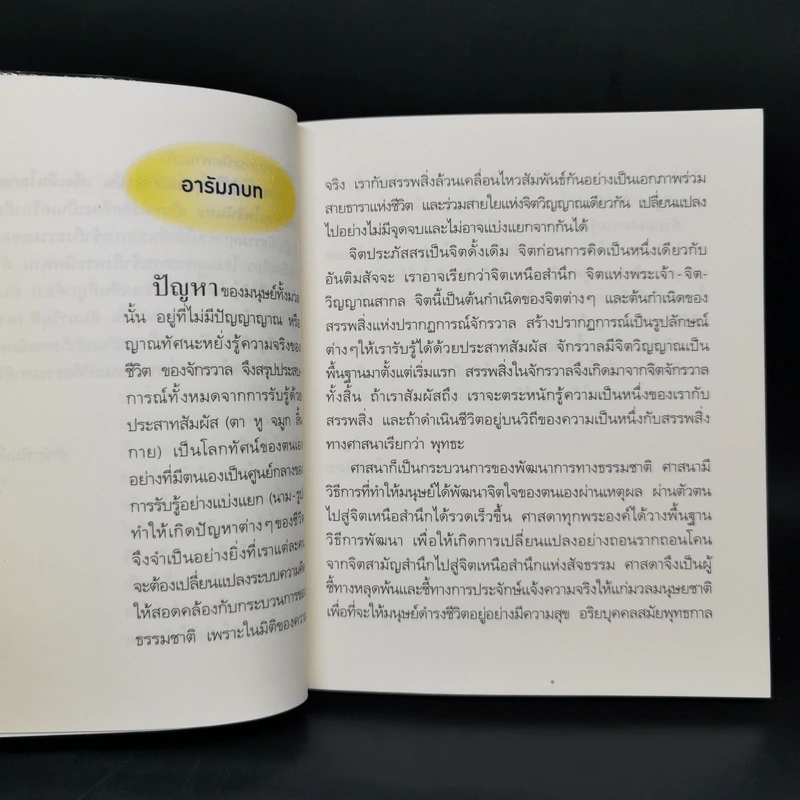 นิพพานได้ในทุกขณะปัจจุบัน เพื่อเห็นโลกตามความเป็นจริง - โพธินันทะ รูปที่ 10